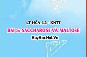 Đường ăn Saccharose là gì? Công thức cấu tạo, tính chất hóa học Saccharose, Maltose và ứng dụng? Hóa 12 bài 5 KNTT